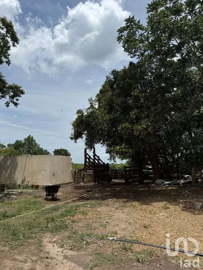 Terreno en Venta en San Francisco, Tizimín, Yucatán | NEX-282317 | iad México | Foto 11 de 27