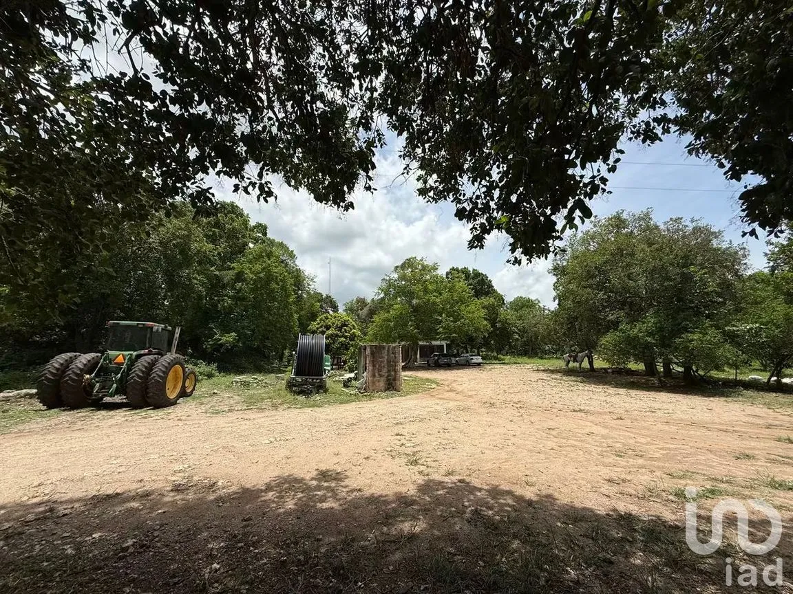 Terreno en Venta en San Francisco, Tizimín, Yucatán | NEX-282317 | iad México | Foto 12 de 27