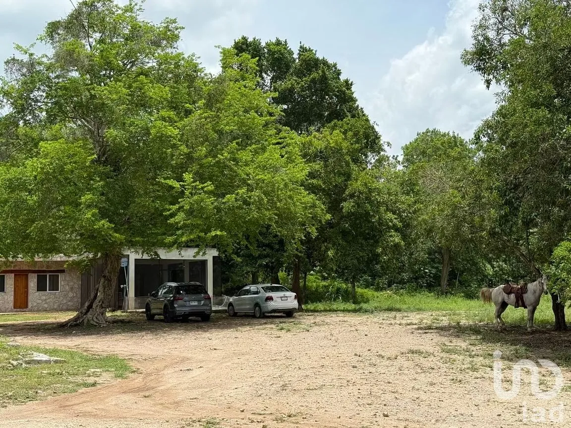 Terreno en Venta en San Francisco, Tizimín, Yucatán | NEX-282317 | iad México | Foto 13 de 27