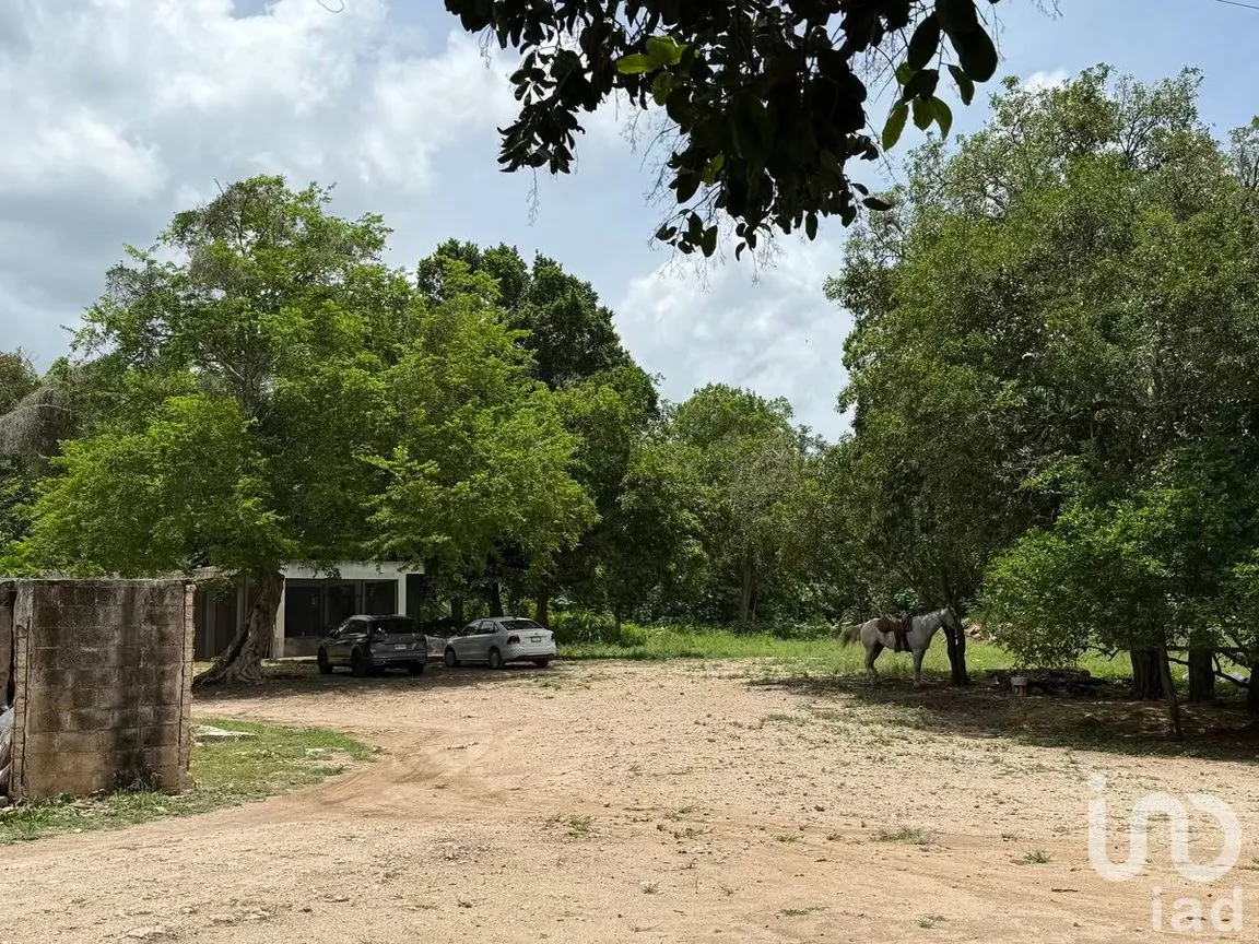 Terreno en Venta en San Francisco, Tizimín, Yucatán | NEX-282317 | iad México | Foto 14 de 27