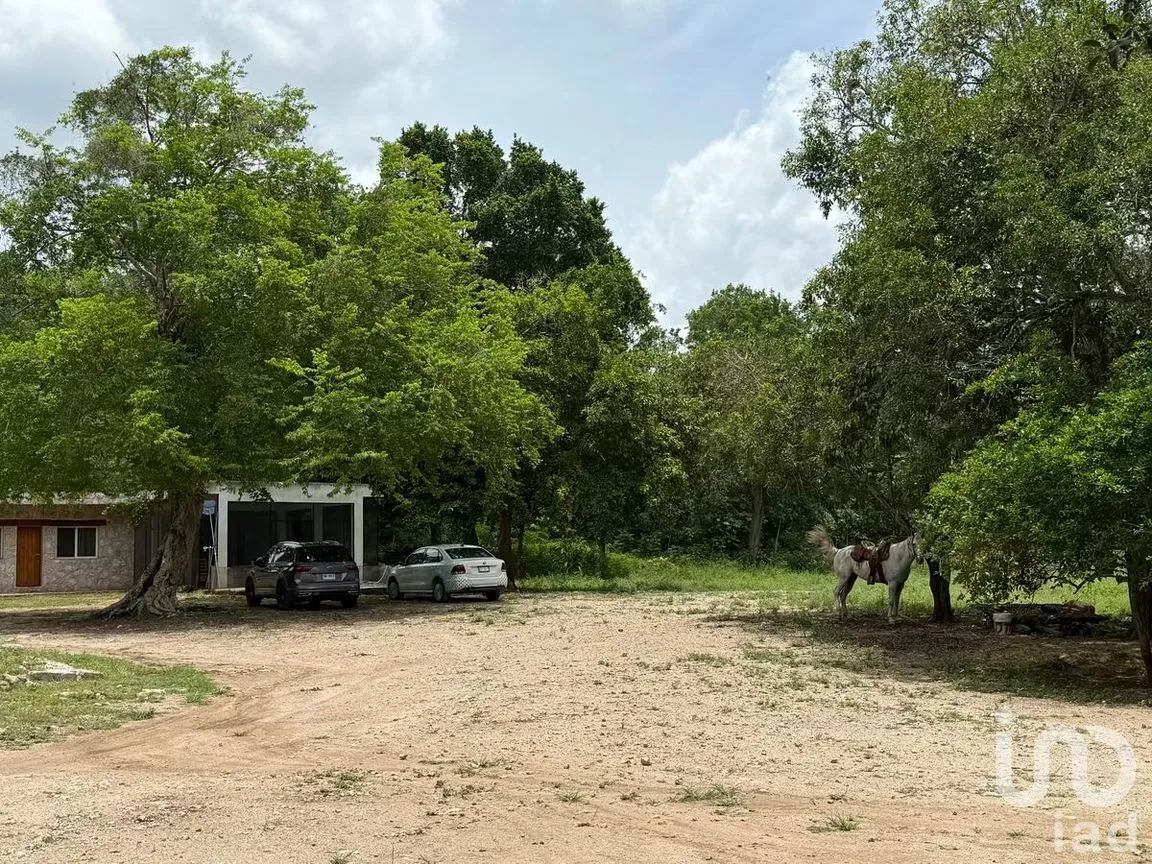 Terreno en Venta en San Francisco, Tizimín, Yucatán | NEX-282317 | iad México | Foto 15 de 27