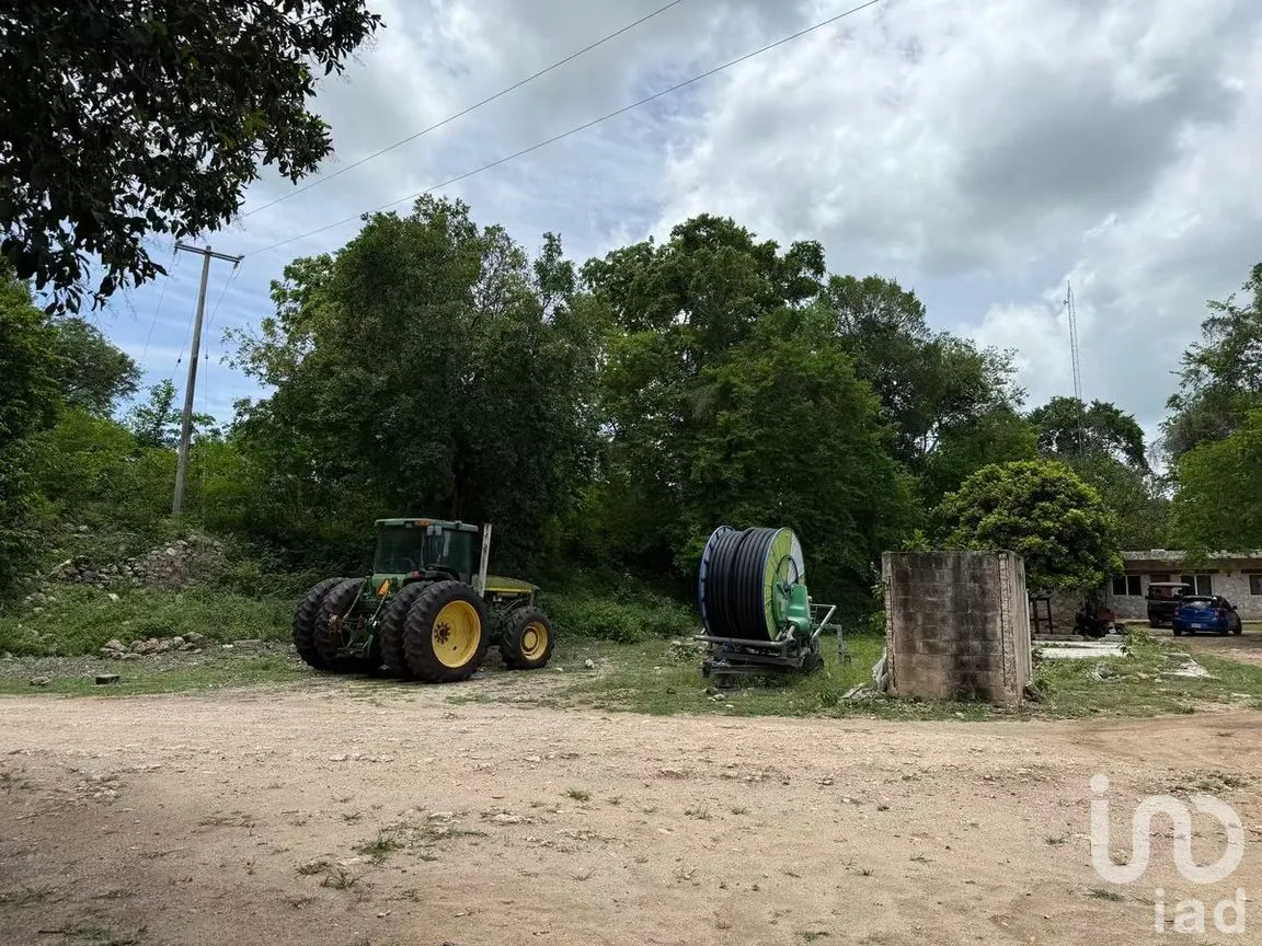 Terreno en Venta en San Francisco, Tizimín, Yucatán | NEX-282317 | iad México | Foto 16 de 27