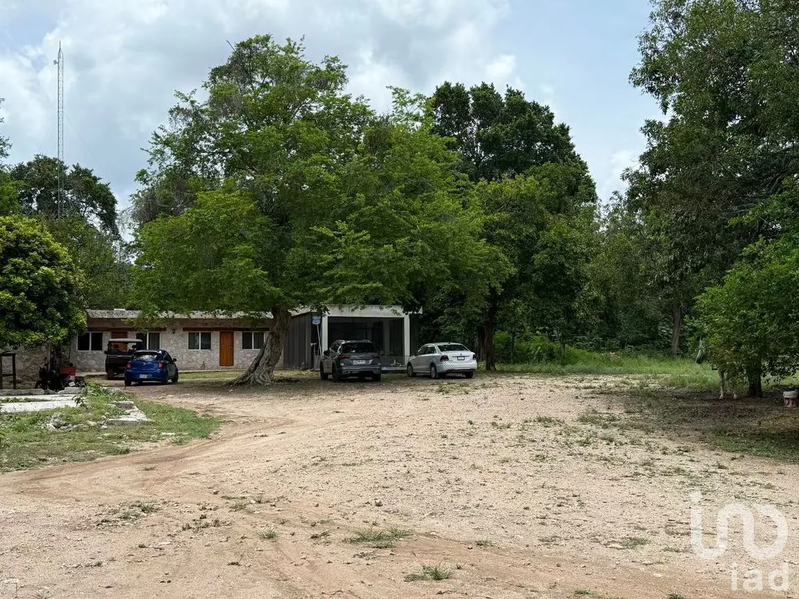 Terreno en Venta en San Francisco, Tizimín, Yucatán | NEX-282317 | iad México | Foto 17 de 27