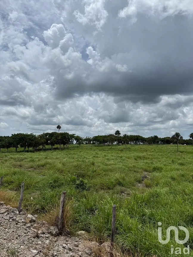 Terreno en Venta en San Francisco, Tizimín, Yucatán | NEX-282317 | iad México | Foto 3 de 27