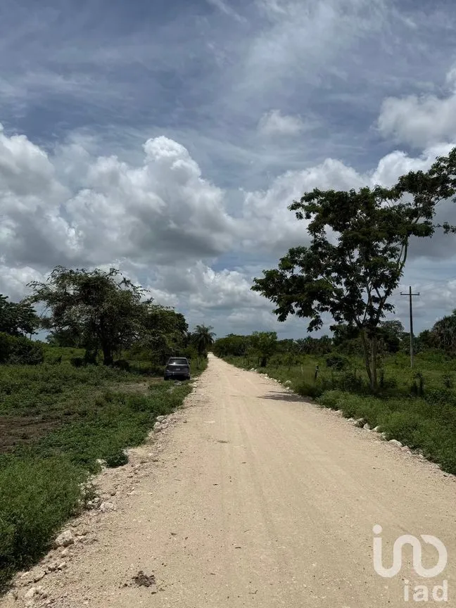 Terreno en Venta en San Francisco, Tizimín, Yucatán | NEX-282317 | iad México | Foto 22 de 27