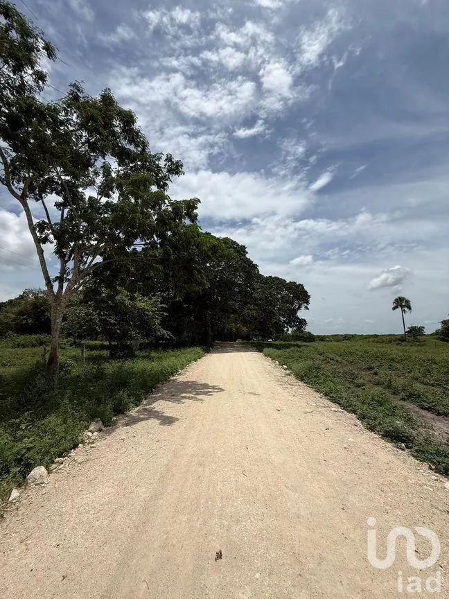 Terreno en Venta en San Francisco, Tizimín, Yucatán | NEX-282317 | iad México | Foto 23 de 27