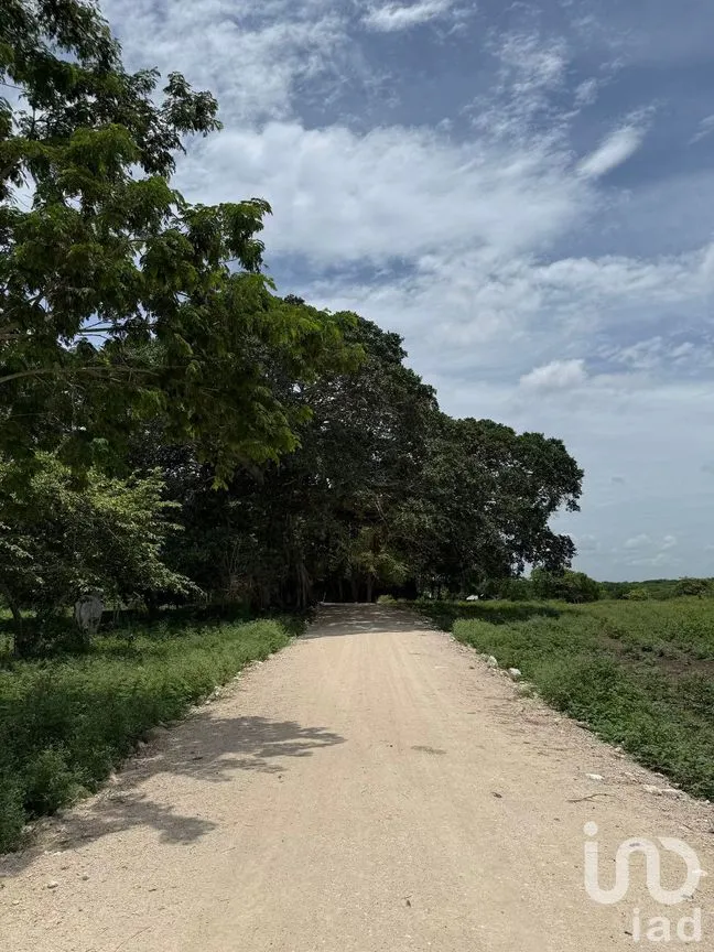 Terreno en Venta en San Francisco, Tizimín, Yucatán | NEX-282317 | iad México | Foto 24 de 27