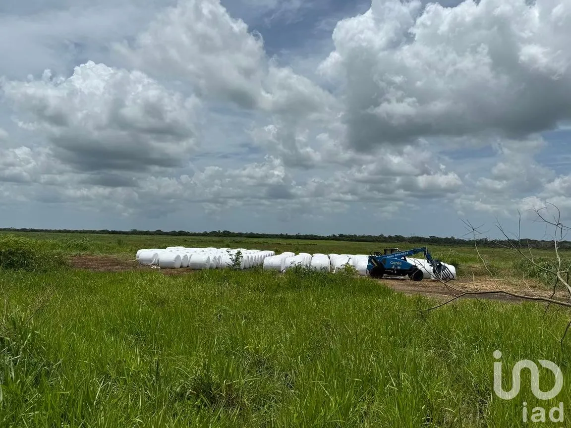 Terreno en Venta en San Francisco, Tizimín, Yucatán | NEX-282317 | iad México | Foto 25 de 27