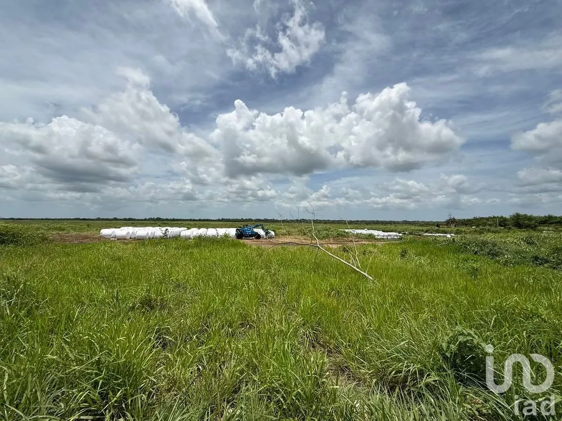 Terreno en Venta en San Francisco, Tizimín, Yucatán | NEX-282317 | iad México | Foto 26 de 27