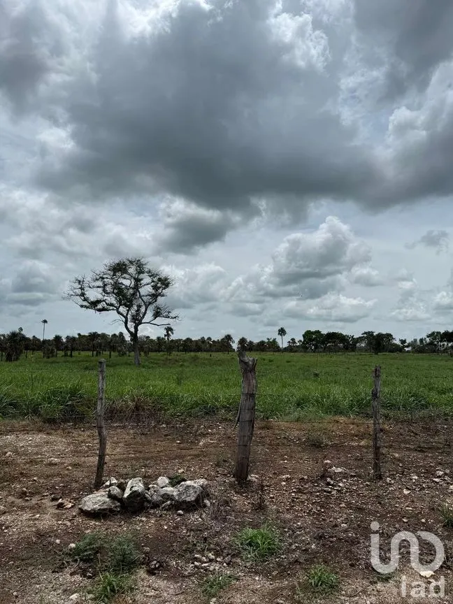 Terreno en Venta en San Francisco, Tizimín, Yucatán | NEX-282317 | iad México | Foto 27 de 27