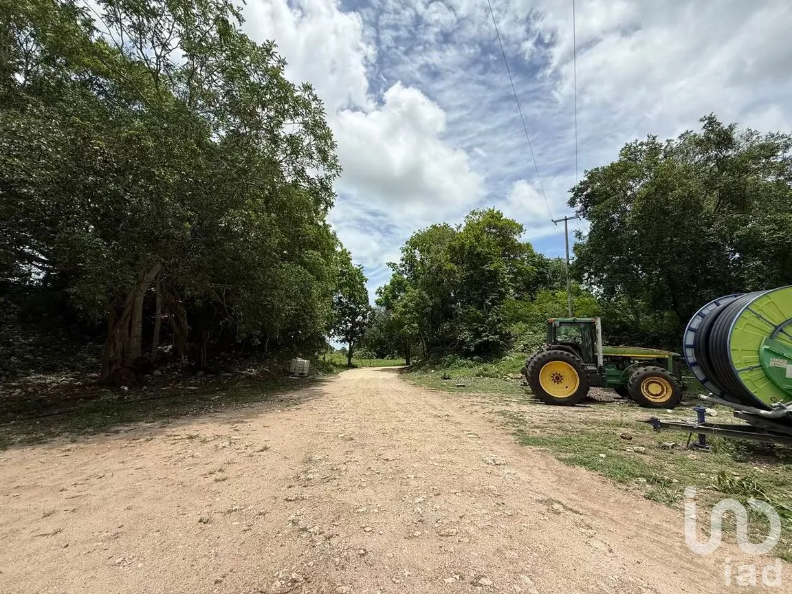 Terreno en Venta en San Francisco, Tizimín, Yucatán | NEX-282317 | iad México | Foto 6 de 27