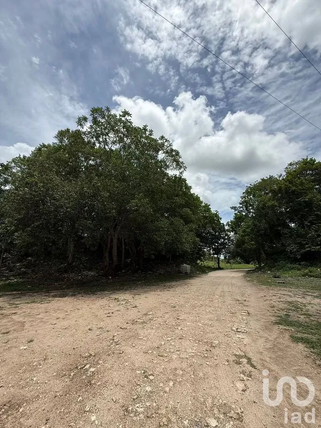 Terreno en Venta en San Francisco, Tizimín, Yucatán | NEX-282317 | iad México | Foto 8 de 27