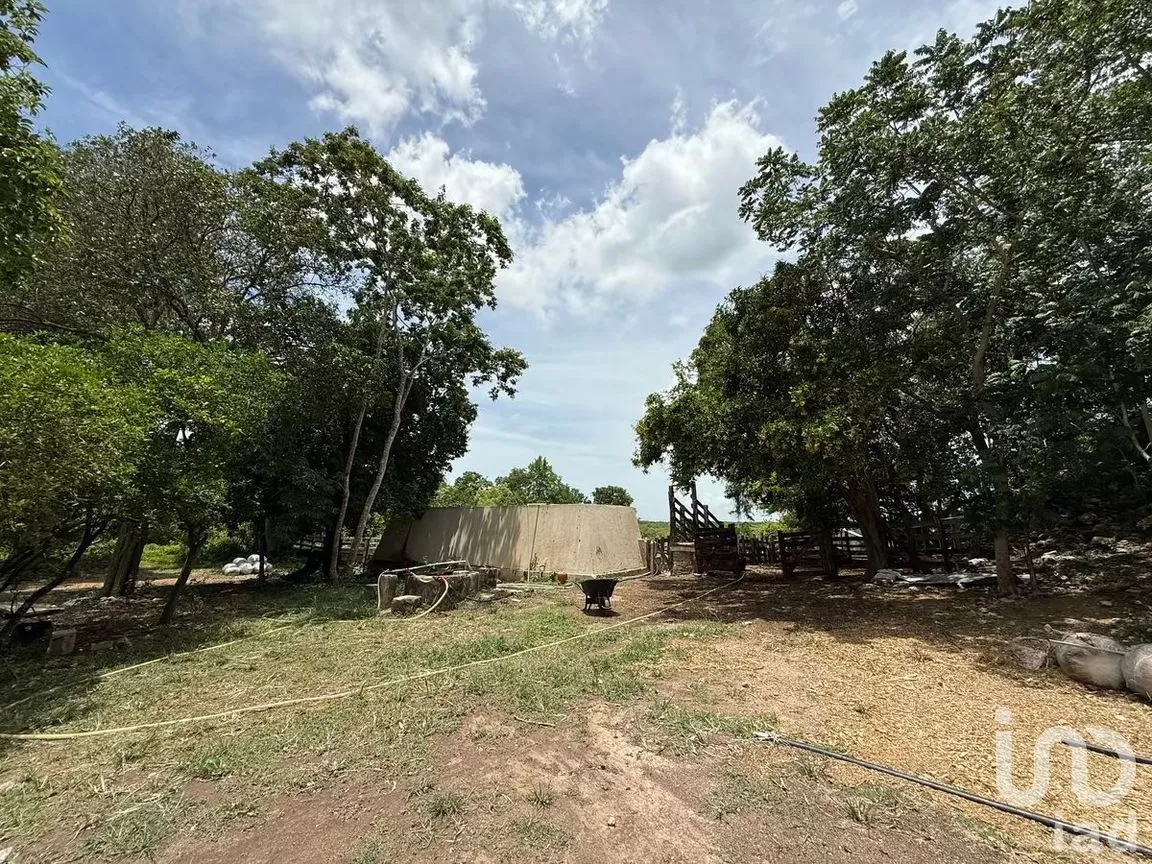 Terreno en Venta en San Francisco, Tizimín, Yucatán | NEX-282317 | iad México | Foto 9 de 27