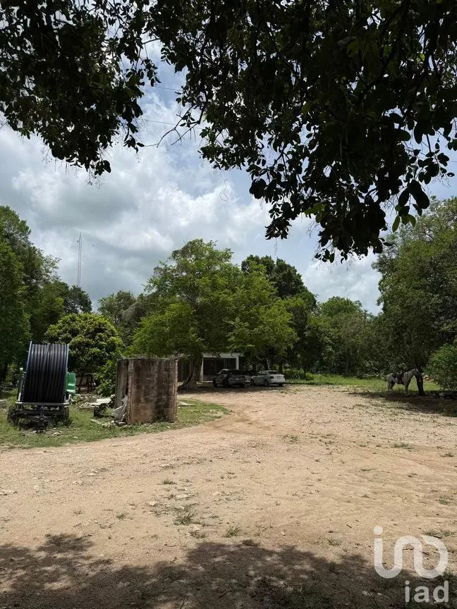 Terreno en Venta en San Francisco, Tizimín, Yucatán | NEX-282317 | iad México | Foto 10 de 27