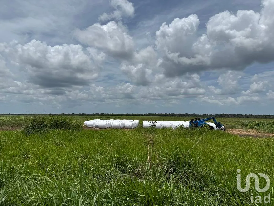 Terreno en Venta en San Francisco, Tizimín, Yucatán | NEX-282317 | iad México | Foto 1 de 27