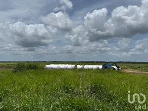 NEX-282317 - Terreno en Venta en San Francisco, CP 97707, Yucatán.
