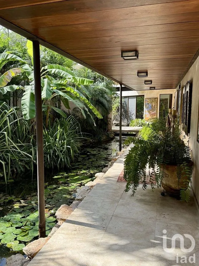 Casa en Venta en Dzibilchaltún, Mérida, Yucatán | NEX-290242 | iad México | Foto 18 de 26