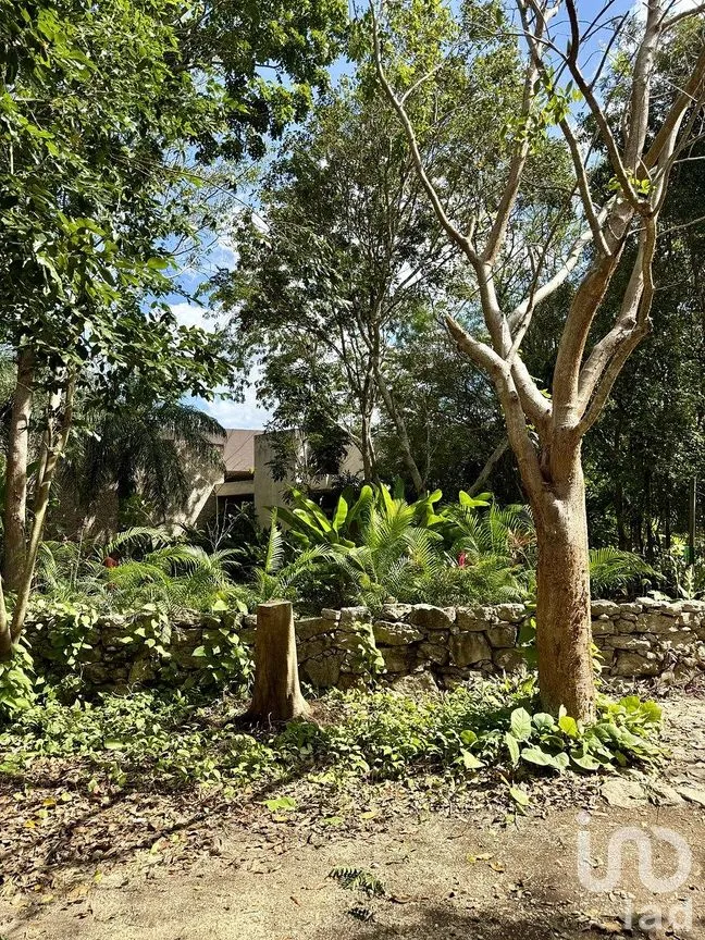 Casa en Venta en Dzibilchaltún, Mérida, Yucatán | NEX-290242 | iad México | Foto 24 de 26