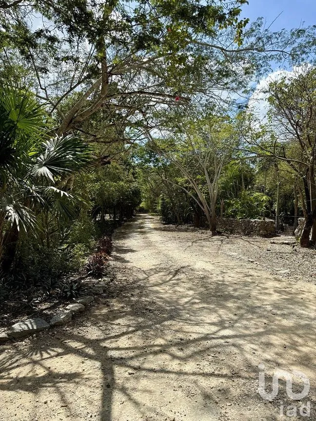 Casa en Venta en Dzibilchaltún, Mérida, Yucatán | NEX-290242 | iad México | Foto 25 de 26