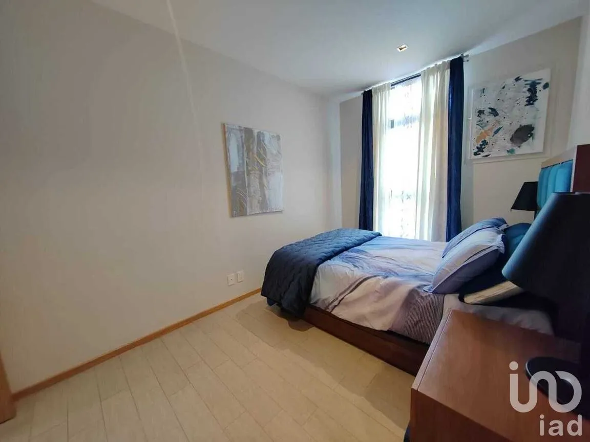 Departamento en Venta en Ampliación Granada, Miguel Hidalgo, Ciudad de México | NEX-229291 | iad México | Foto 29 de 46
