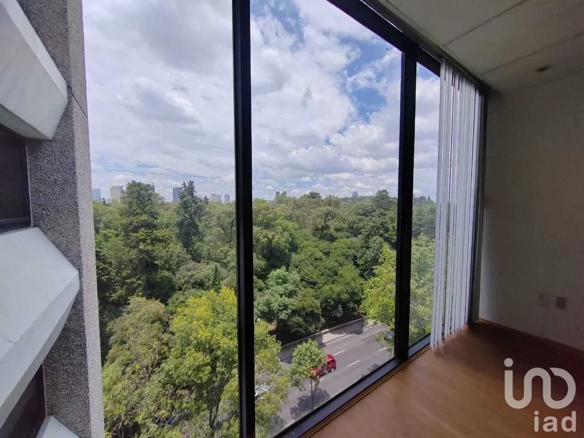 Oficina en Renta en San Miguel Chapultepec I Sección, Miguel Hidalgo, Ciudad de México | NEX-230259 | iad México | Foto 2 de 17
