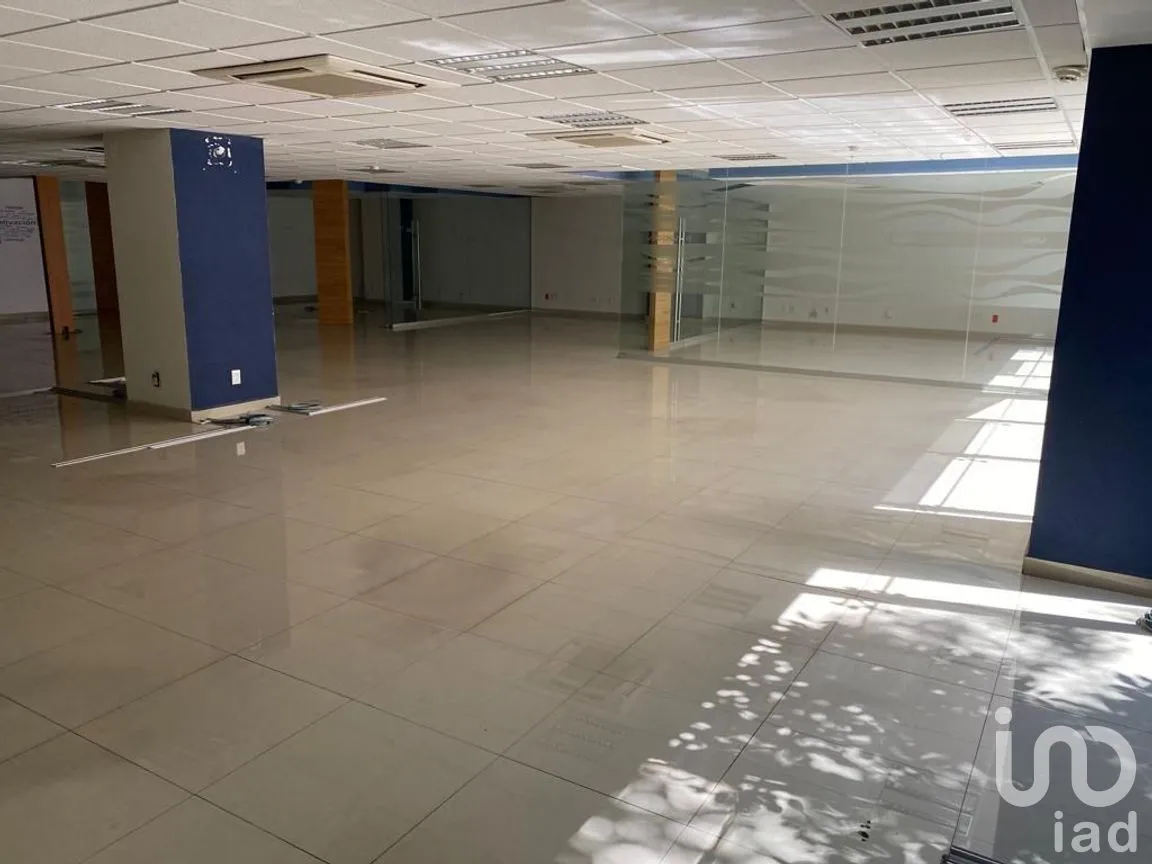 Oficina en Renta en Nápoles, Benito Juárez, Ciudad de México | NEX-277588 | iad México | Foto 13 de 25