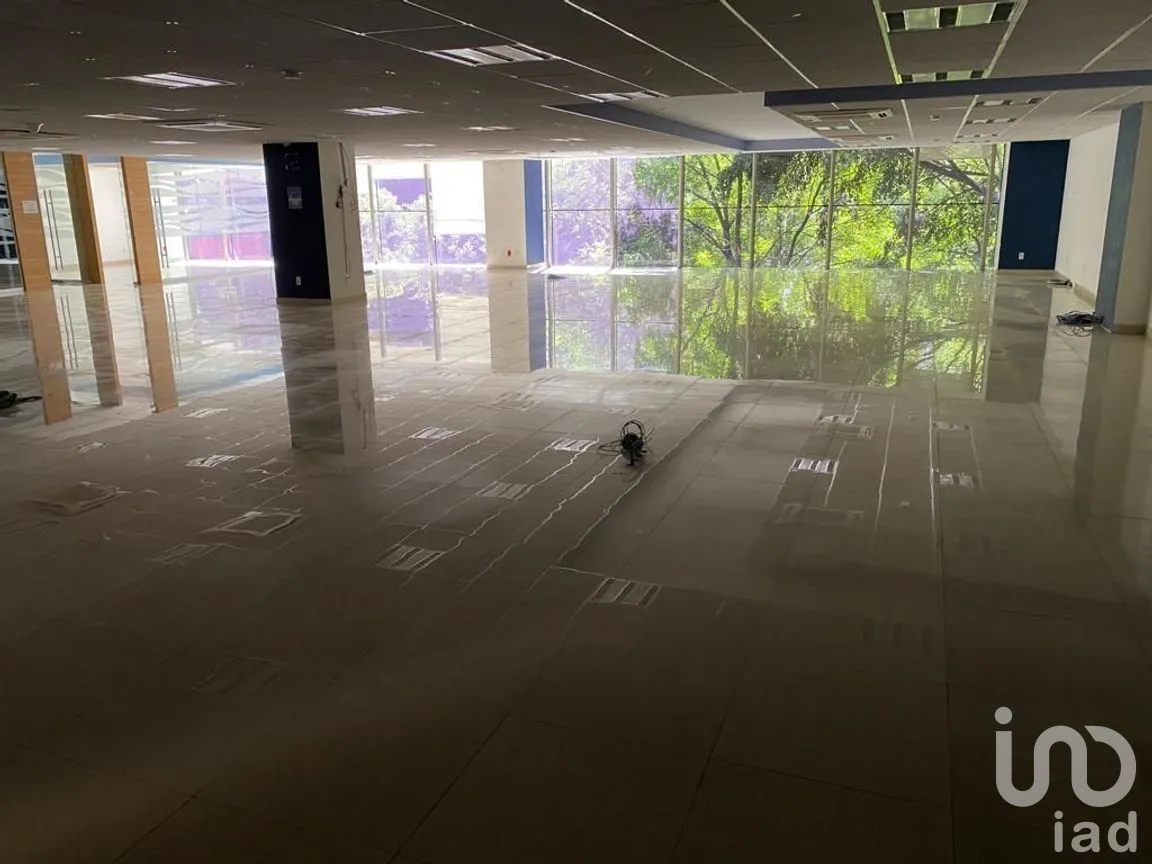 Oficina en Renta en Nápoles, Benito Juárez, Ciudad de México | NEX-277588 | iad México | Foto 18 de 25