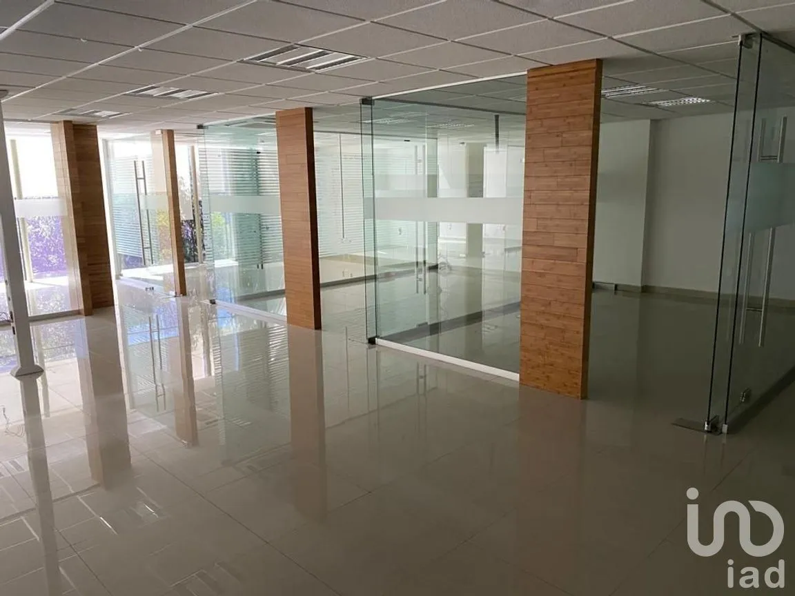 Oficina en Renta en Nápoles, Benito Juárez, Ciudad de México | NEX-277588 | iad México | Foto 9 de 25