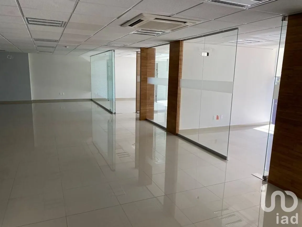 Oficina en Renta en Nápoles, Benito Juárez, Ciudad de México | NEX-277588 | iad México | Foto 1 de 25