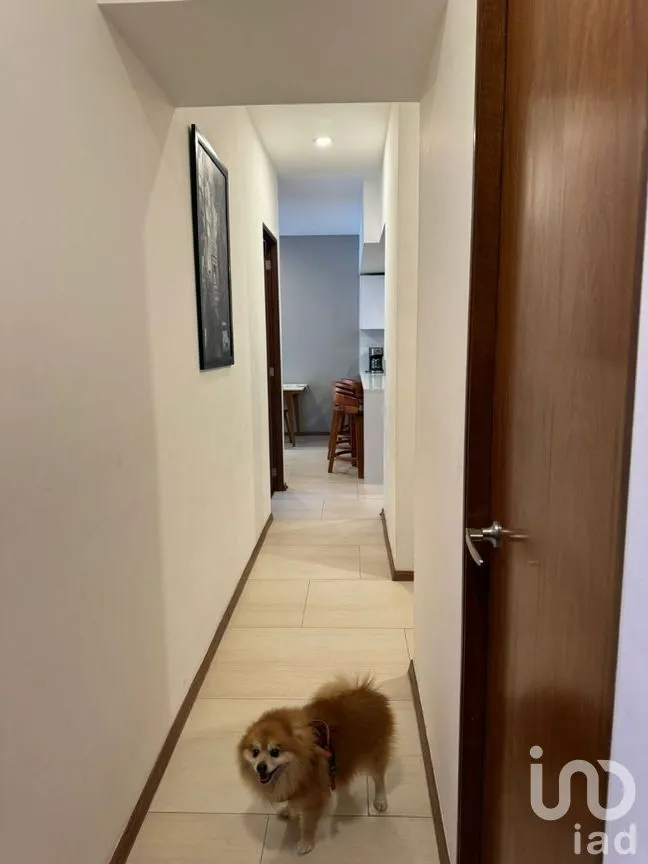 Departamento en Venta en Santa Cruz Atoyac, Benito Juárez, Ciudad de México | NEX-277614 | iad México | Foto 17 de 49