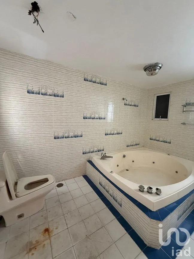 Casa en Renta en Lomas de Chapultepec III Sección, Miguel Hidalgo, Ciudad de México | NEX-293849 | iad México | Foto 9 de 39