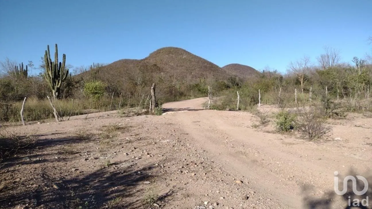 Terreno en Venta en Ejidal, Sinaloa, Sinaloa