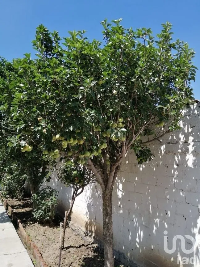 Casa en Venta en El Gavillero, Nicolás Romero, Estado De México | NEX-227887 | iad México | Foto 38 de 38