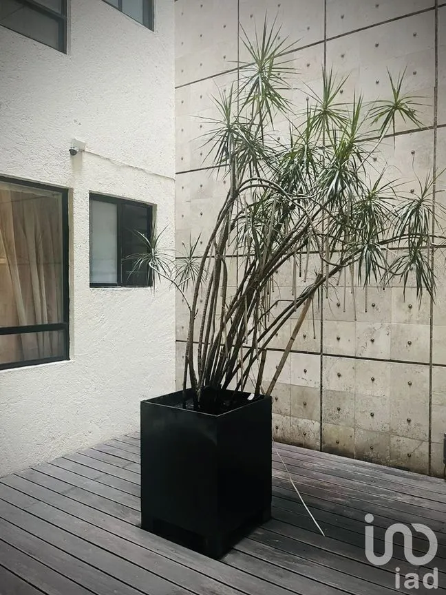 Departamento en Renta en Cuauhtémoc, Cuauhtémoc, Ciudad de México | NEX-229798 | iad México | Foto 40 de 40
