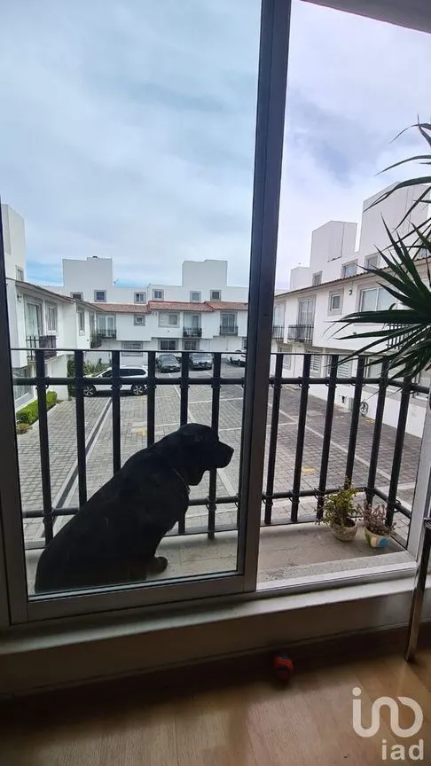 Casa en Venta en Lomas de San Pedro, Cuajimalpa de Morelos, Ciudad de México | NEX-229878 | iad México | Foto 10 de 22