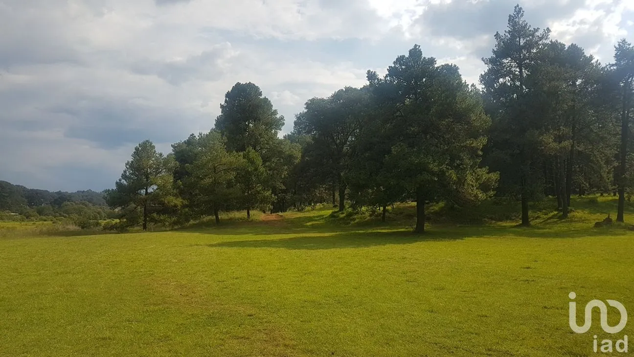 Terreno en Venta en Santa María Magdalena Cahuacán, Nicolás Romero, Estado de México | NEX-280880 | iad México | Foto 5 de 14