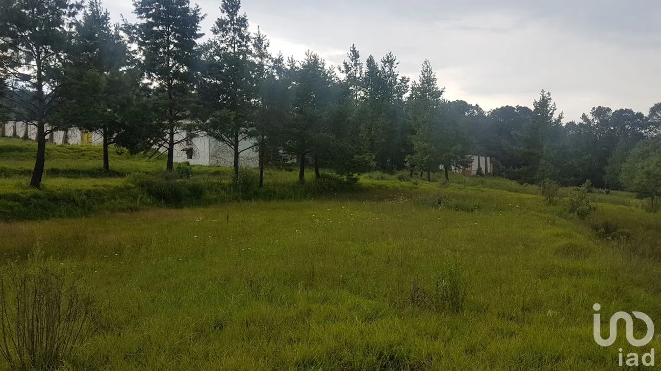Terreno en Venta en Santa María Magdalena Cahuacán, Nicolás Romero, Estado de México | NEX-280880 | iad México | Foto 10 de 14