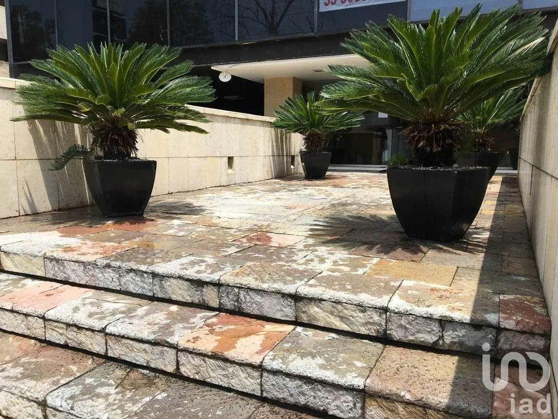 Oficina en Renta en Bosque de las Lomas, Miguel Hidalgo, Ciudad de México | NEX-280891 | iad México | Foto 15 de 16
