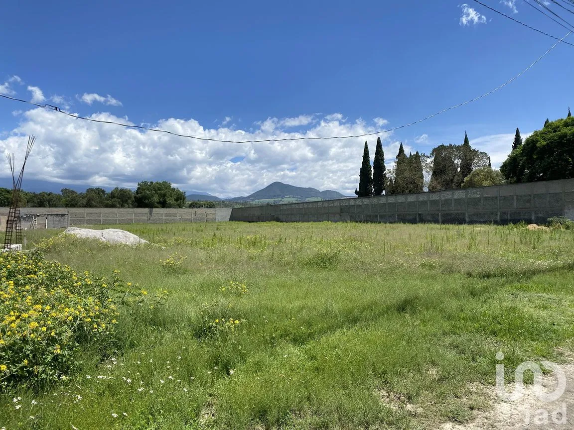 Terreno en Venta en San Juan Temamatla, Temamatla, Estado de México | NEX-280896 | iad México | Foto 7 de 12