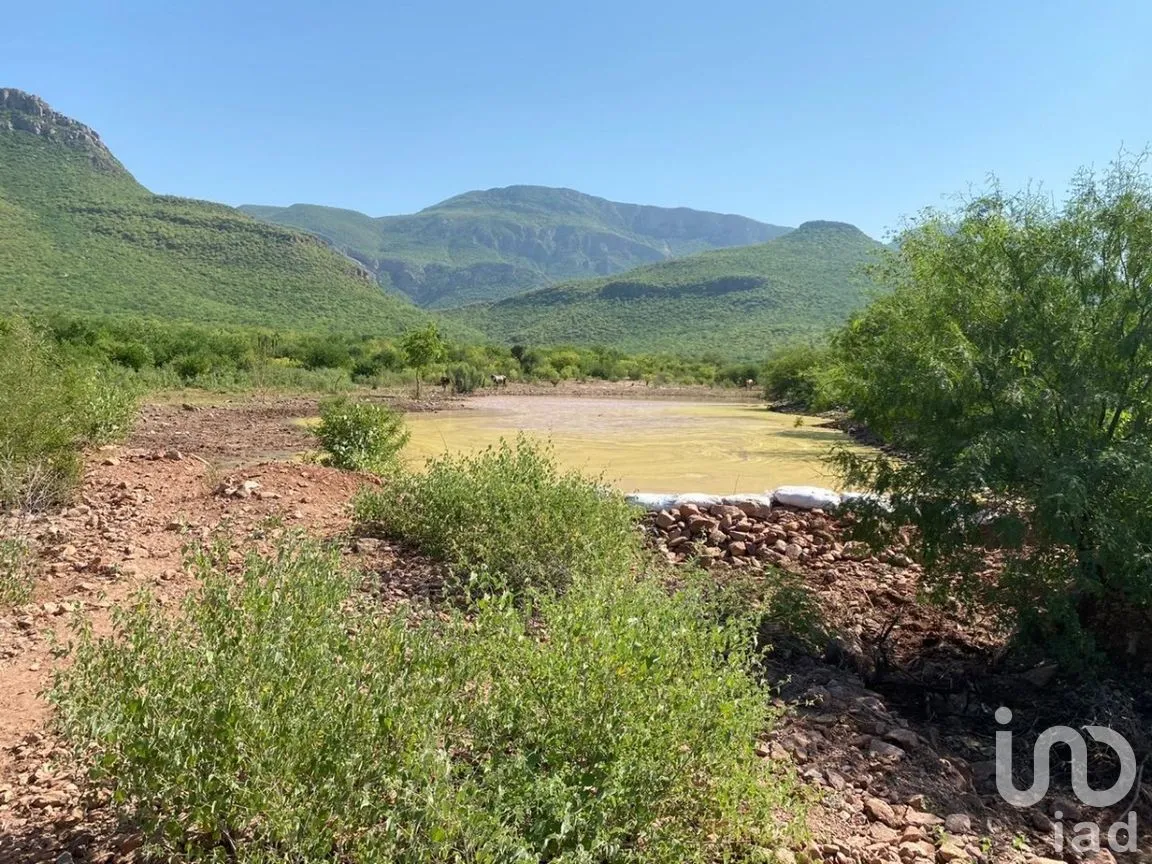 Terreno en Venta en Individual Ahome, Ahome, Sinaloa | NEX-281513 | iad México | Foto 12 de 27