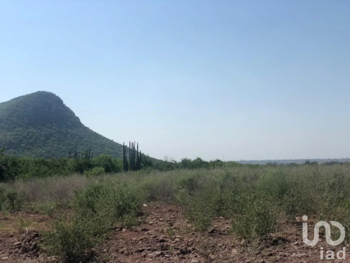 Terreno en Venta en Individual Ahome, Ahome, Sinaloa | NEX-281513 | iad México | Foto 19 de 27