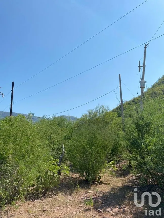Terreno en Venta en Individual Ahome, Ahome, Sinaloa | NEX-281513 | iad México | Foto 6 de 27