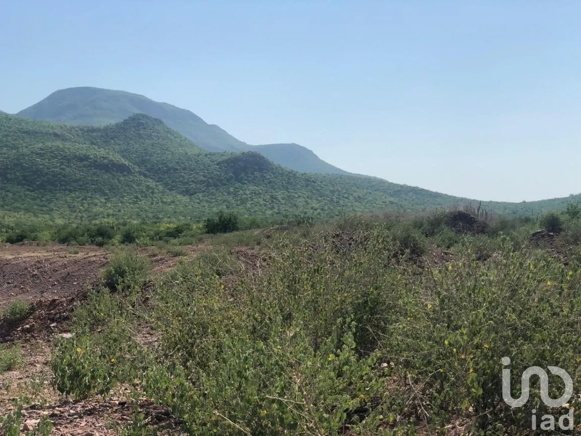 Terreno en Venta en Individual Ahome, Ahome, Sinaloa | NEX-281513 | iad México | Foto 8 de 27