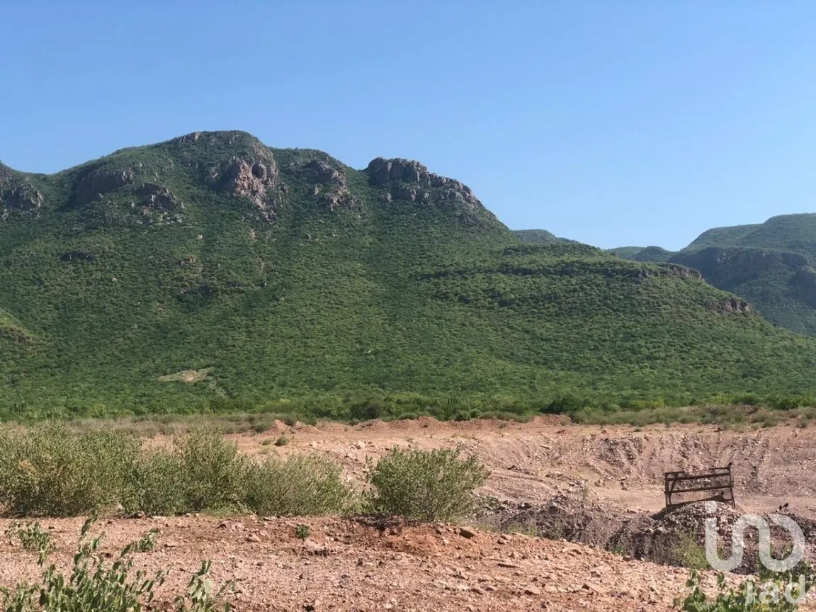 Terreno en Venta en Individual Ahome, Ahome, Sinaloa | NEX-281513 | iad México | Foto 10 de 27