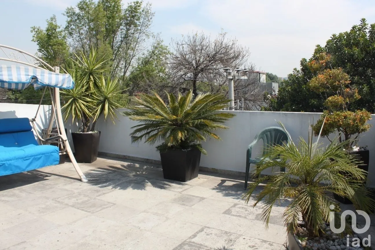 Departamento en Venta en Anzures, Miguel Hidalgo, Ciudad de México | NEX-281515 | iad México | Foto 10 de 12