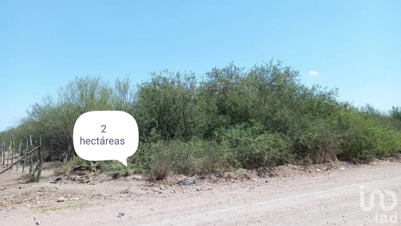 Terreno en Venta en Daniel Biul Ruelas, Ahome, Sinaloa | NEX-281525 | iad México | Foto 1 de 1