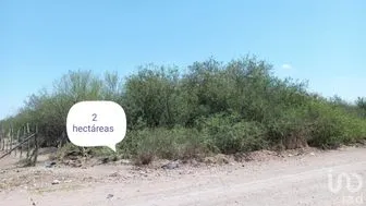 NEX-281525 - Terreno en Venta en Daniel Biul Ruelas, CP 81228, Sinaloa.