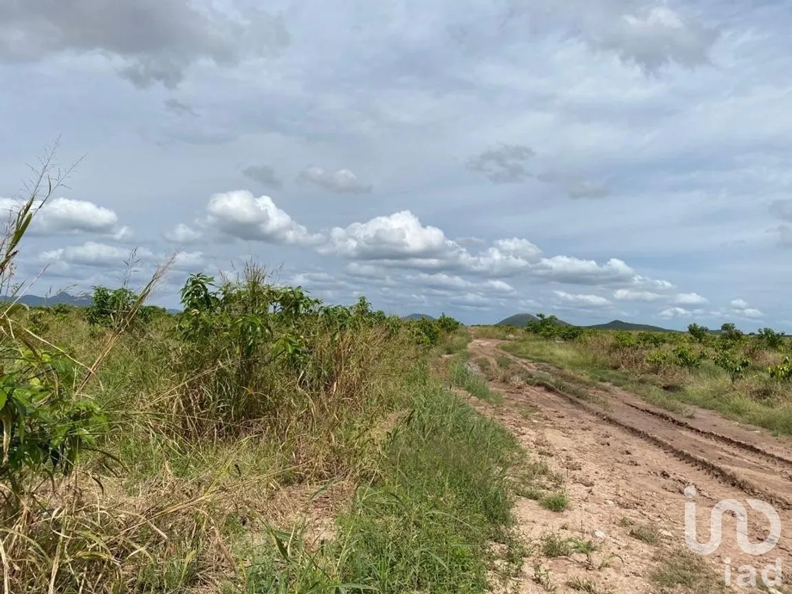 Terreno en Venta en Mochicahui, El Fuerte, Sinaloa | NEX-281534 | iad México | Foto 2 de 21