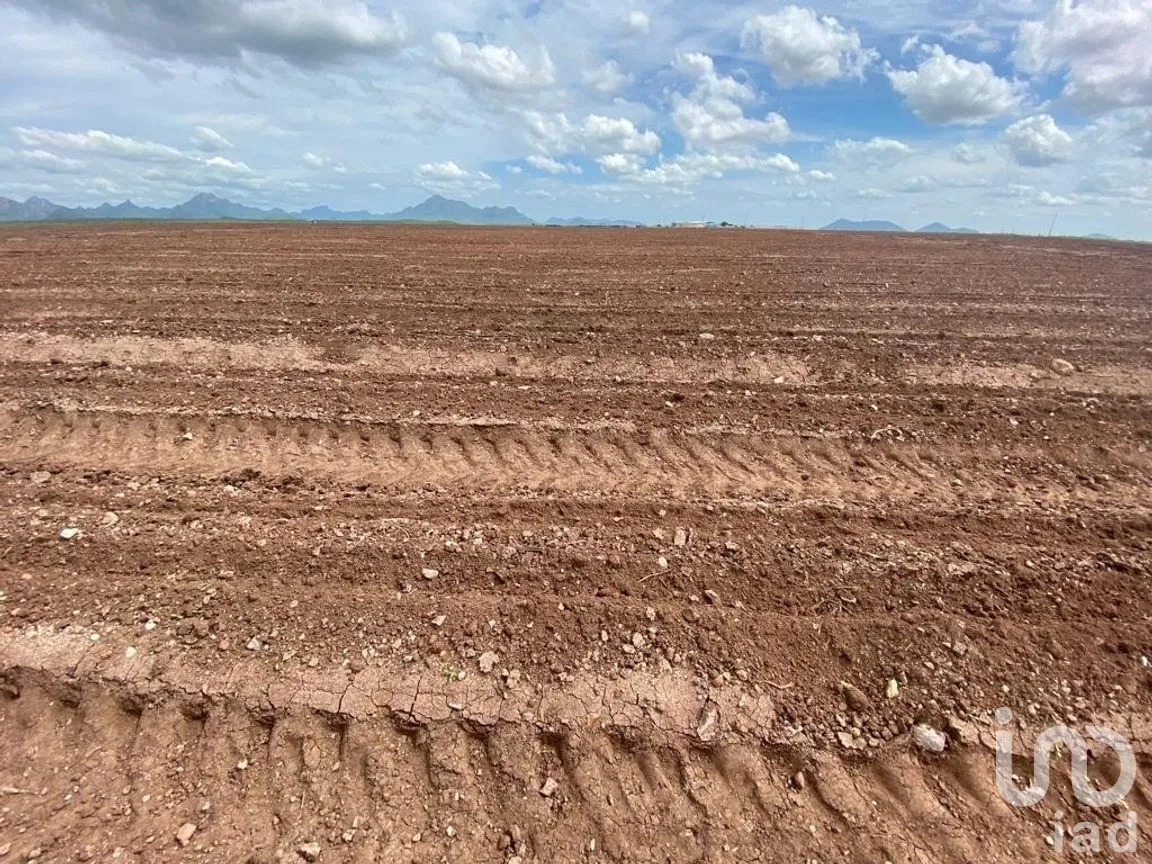 Terreno en Venta en Mochicahui, El Fuerte, Sinaloa | NEX-281534 | iad México | Foto 11 de 21