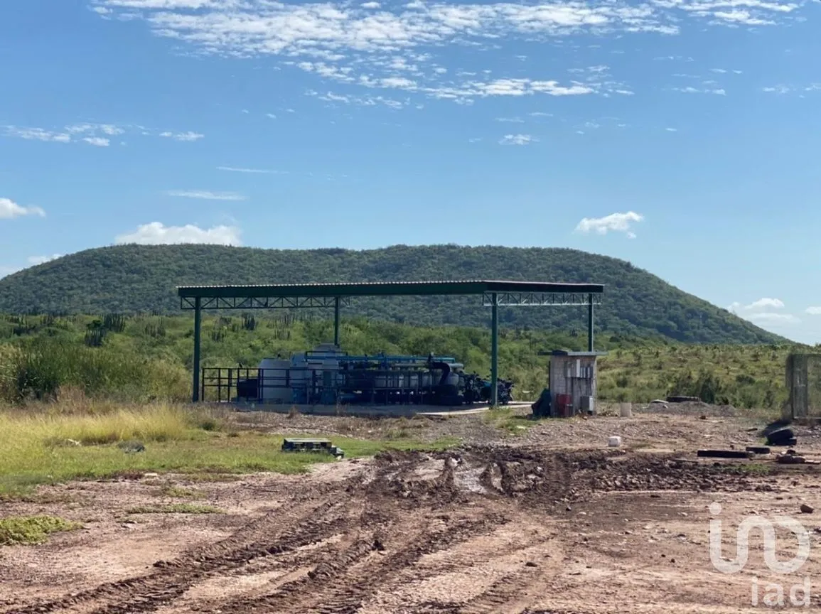 Terreno en Venta en Mochicahui, El Fuerte, Sinaloa | NEX-281534 | iad México | Foto 12 de 21